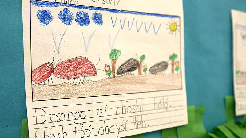 Majority of state’s Native Americans now speak only English at home